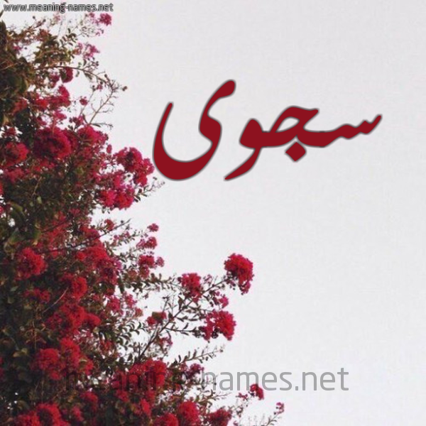 شكل 18 صوره الورد الأحمر للإسم بخط رقعة صورة اسم سجوى Sjwa