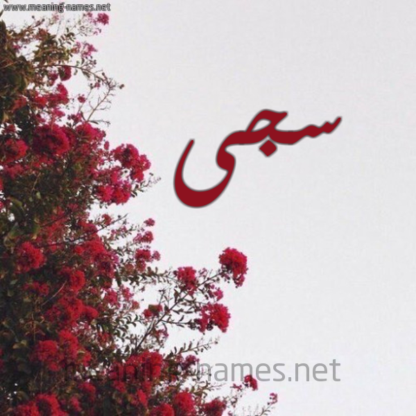 شكل 18 صوره الورد الأحمر للإسم بخط رقعة صورة اسم سجى Saga