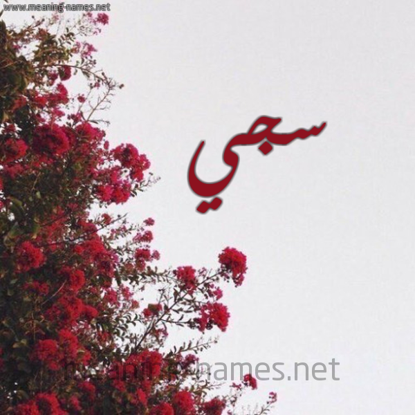 شكل 18 صوره الورد الأحمر للإسم بخط رقعة صورة اسم سجي Sjy