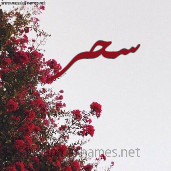 شكل 18 صوره الورد الأحمر للإسم بخط رقعة صورة اسم سحر Sahr