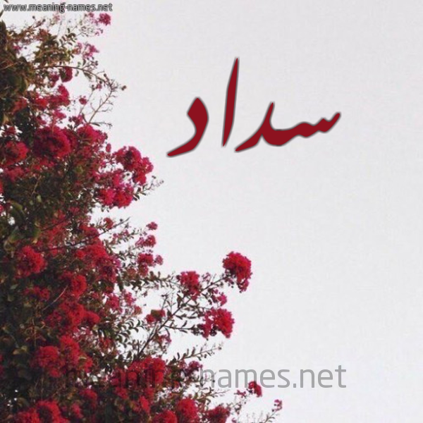 شكل 18 صوره الورد الأحمر للإسم بخط رقعة صورة اسم سداد Sdad