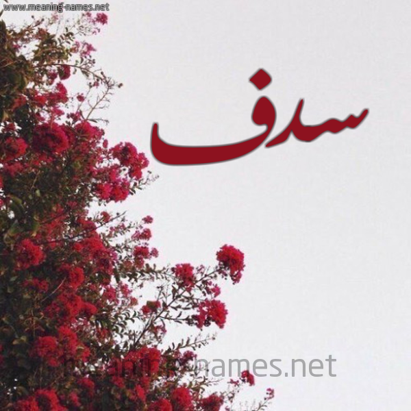 شكل 18 صوره الورد الأحمر للإسم بخط رقعة صورة اسم سدف Sdf