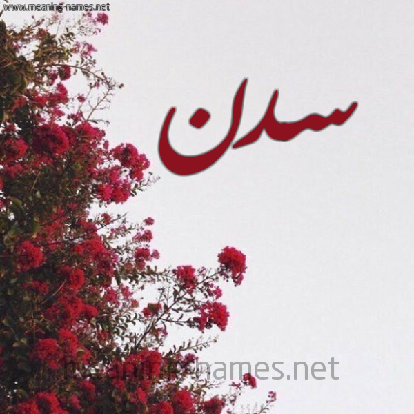 شكل 18 صوره الورد الأحمر للإسم بخط رقعة صورة اسم سدن Sadan