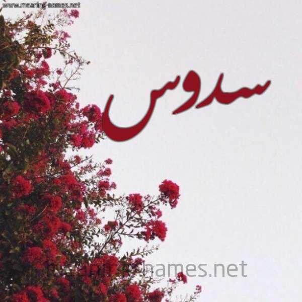 شكل 18 صوره الورد الأحمر للإسم بخط رقعة صورة اسم سدوس Sdws