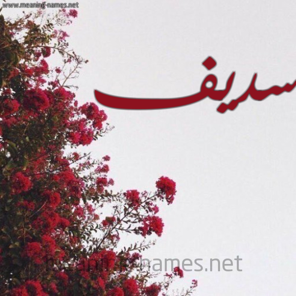 شكل 18 صوره الورد الأحمر للإسم بخط رقعة صورة اسم سديف SADIF