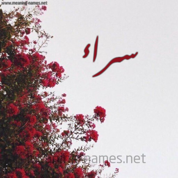 شكل 18 صوره الورد الأحمر للإسم بخط رقعة صورة اسم سراء Sraa