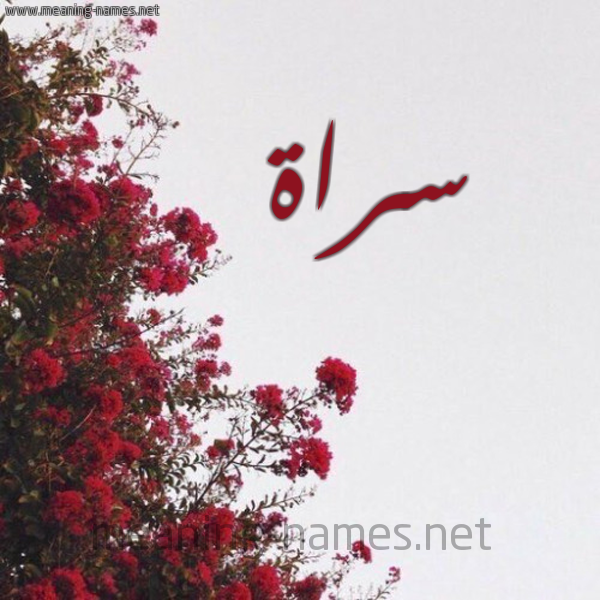 شكل 18 صوره الورد الأحمر للإسم بخط رقعة صورة اسم سراة سَّراةُ-Srah