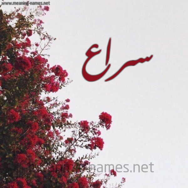 شكل 18 صوره الورد الأحمر للإسم بخط رقعة صورة اسم سراع Sra'