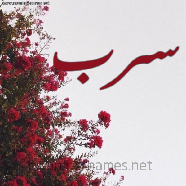 شكل 18 صوره الورد الأحمر للإسم بخط رقعة صورة اسم سرب سِرْب-Srb