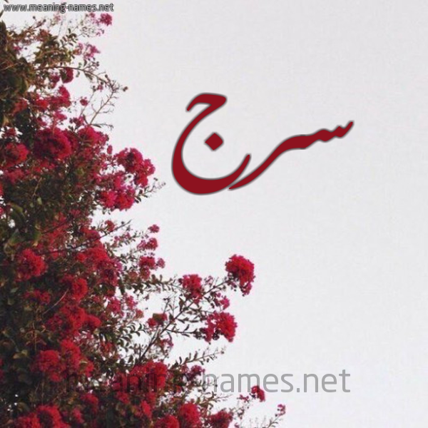 شكل 18 صوره الورد الأحمر للإسم بخط رقعة صورة اسم سرج SRG