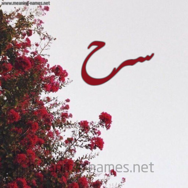 شكل 18 صوره الورد الأحمر للإسم بخط رقعة صورة اسم سرح Srh