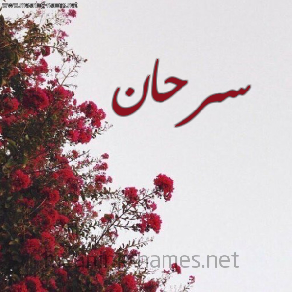 شكل 18 صوره الورد الأحمر للإسم بخط رقعة صورة اسم سرحان Srhan