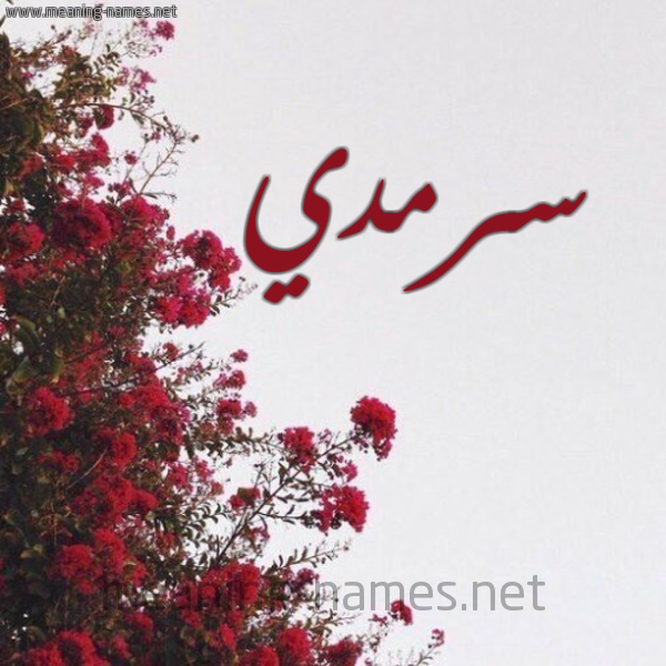 شكل 18 صوره الورد الأحمر للإسم بخط رقعة صورة اسم سرمدي Srmdy
