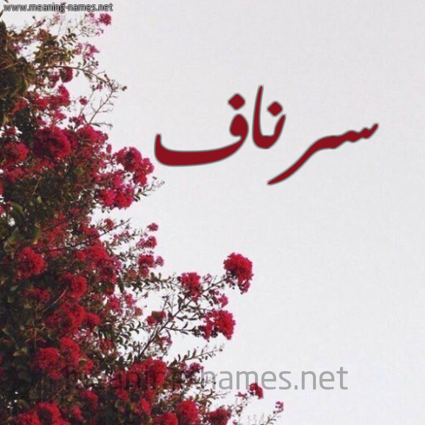شكل 18 صوره الورد الأحمر للإسم بخط رقعة صورة اسم سرناف Srnaf