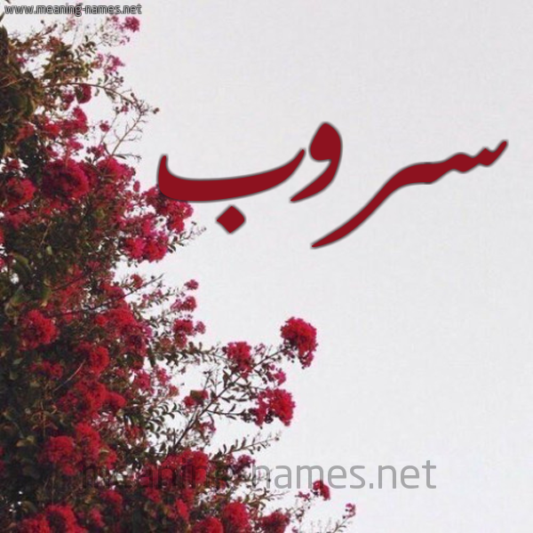 شكل 18 صوره الورد الأحمر للإسم بخط رقعة صورة اسم سروب Srwb