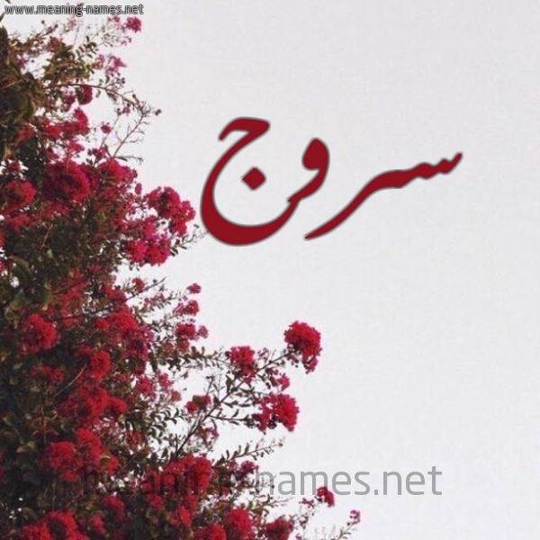 شكل 18 صوره الورد الأحمر للإسم بخط رقعة صورة اسم سروج Srwj
