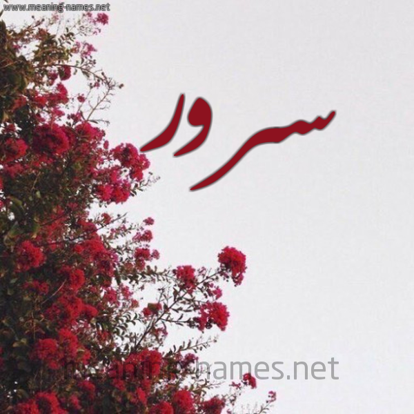 شكل 18 صوره الورد الأحمر للإسم بخط رقعة صورة اسم سرور Sror