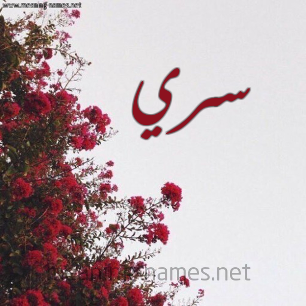 شكل 18 صوره الورد الأحمر للإسم بخط رقعة صورة اسم سري Sry