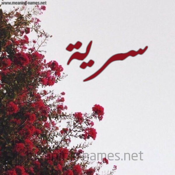 شكل 18 صوره الورد الأحمر للإسم بخط رقعة صورة اسم سرية Sryh