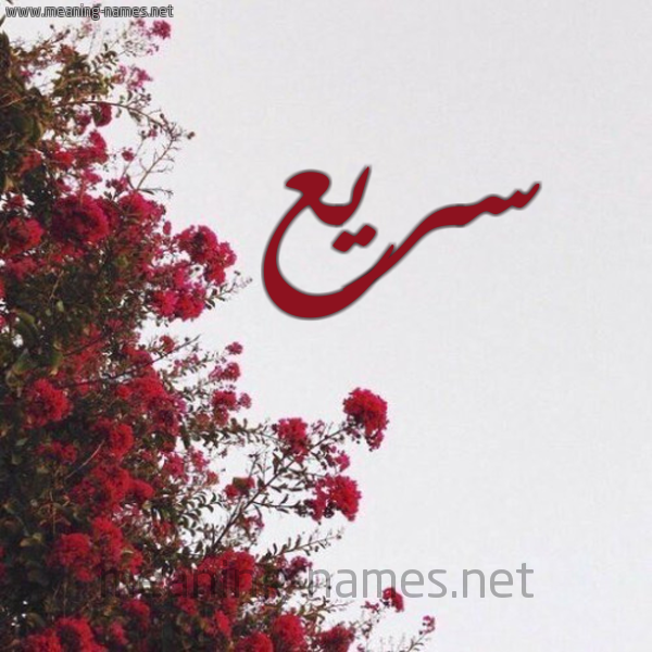 شكل 18 صوره الورد الأحمر للإسم بخط رقعة صورة اسم سريع Sry'
