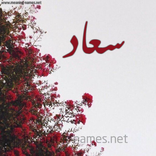 شكل 18 صوره الورد الأحمر للإسم بخط رقعة صورة اسم سعاد Soaad