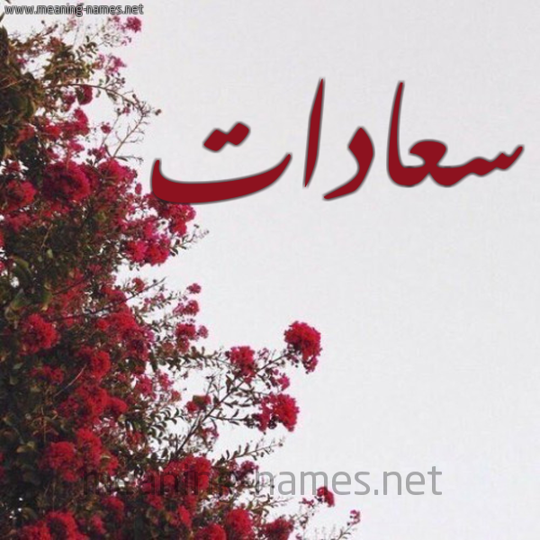 شكل 18 صوره الورد الأحمر للإسم بخط رقعة صورة اسم سعادات SAADAT