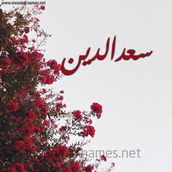 شكل 18 صوره الورد الأحمر للإسم بخط رقعة صورة اسم سعدالدين S'daldyn