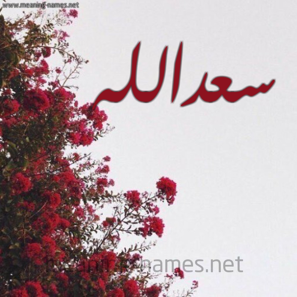 شكل 18 صوره الورد الأحمر للإسم بخط رقعة صورة اسم سعدالله S'dallh