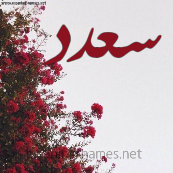 شكل 18 صوره الورد الأحمر للإسم بخط رقعة صورة اسم سعدد Saad