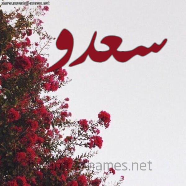 شكل 18 صوره الورد الأحمر للإسم بخط رقعة صورة اسم سعدو SADO