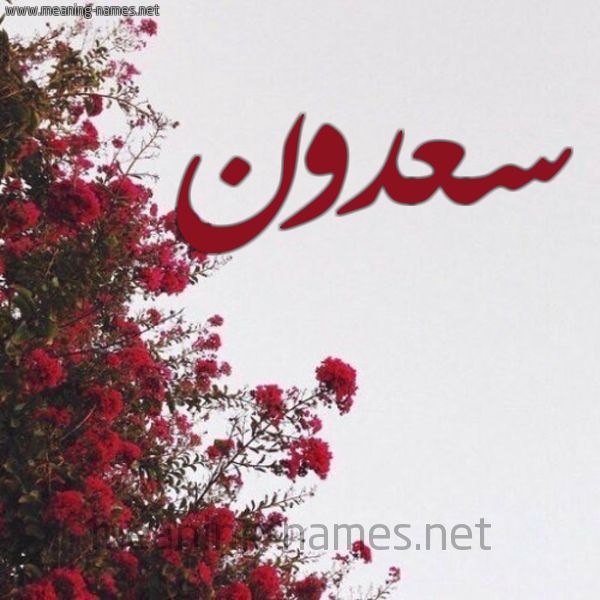 شكل 18 صوره الورد الأحمر للإسم بخط رقعة صورة اسم سعدون Sadon