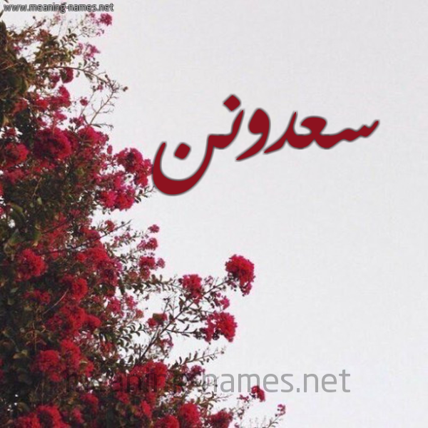 شكل 18 صوره الورد الأحمر للإسم بخط رقعة صورة اسم سعدونن Saadoun