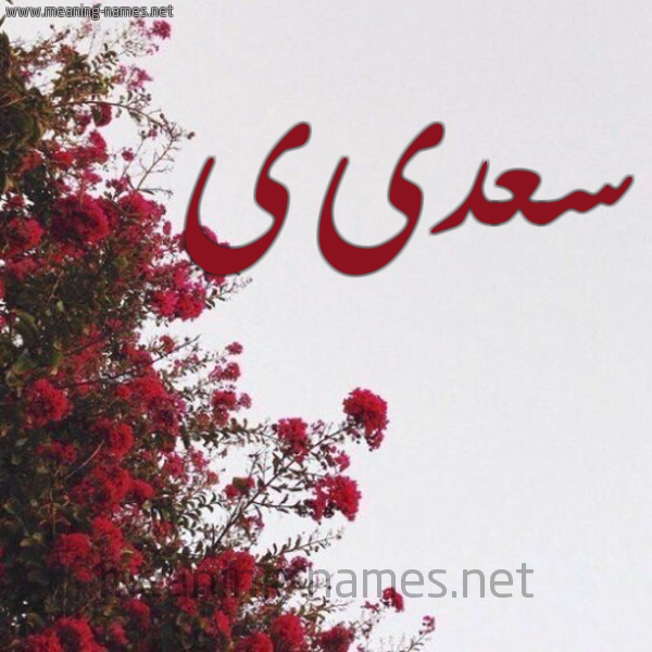 شكل 18 صوره الورد الأحمر للإسم بخط رقعة صورة اسم سعدىى Saadi