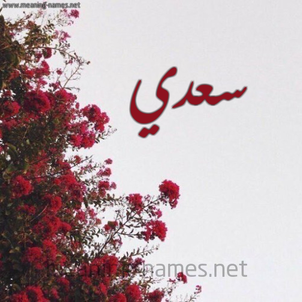 شكل 18 صوره الورد الأحمر للإسم بخط رقعة صورة اسم سعدي Saady