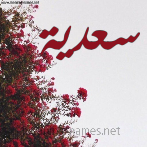 شكل 18 صوره الورد الأحمر للإسم بخط رقعة صورة اسم سعدية Sadiya