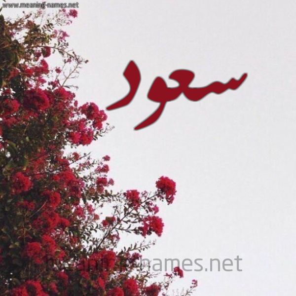 شكل 18 صوره الورد الأحمر للإسم بخط رقعة صورة اسم سعود Sood