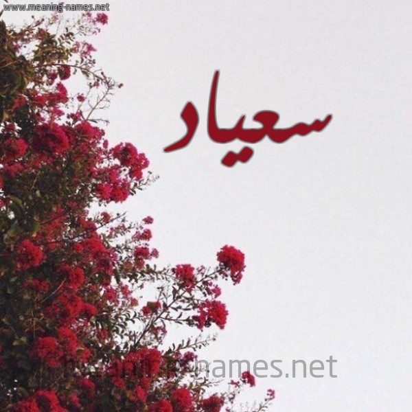 شكل 18 صوره الورد الأحمر للإسم بخط رقعة صورة اسم سعياد Soad