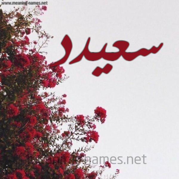 شكل 18 صوره الورد الأحمر للإسم بخط رقعة صورة اسم سعيدد Said