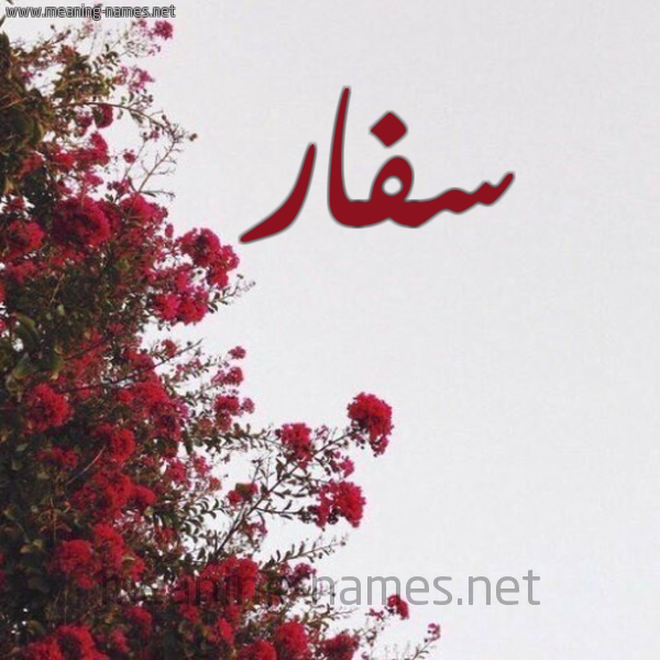 شكل 18 صوره الورد الأحمر للإسم بخط رقعة صورة اسم سفار Sfar