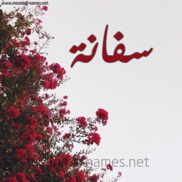 شكل 18 صوره الورد الأحمر للإسم بخط رقعة صورة اسم سفانة Sfanh