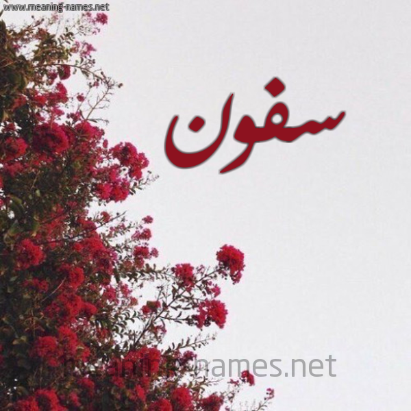 شكل 18 صوره الورد الأحمر للإسم بخط رقعة صورة اسم سفون Sfwn