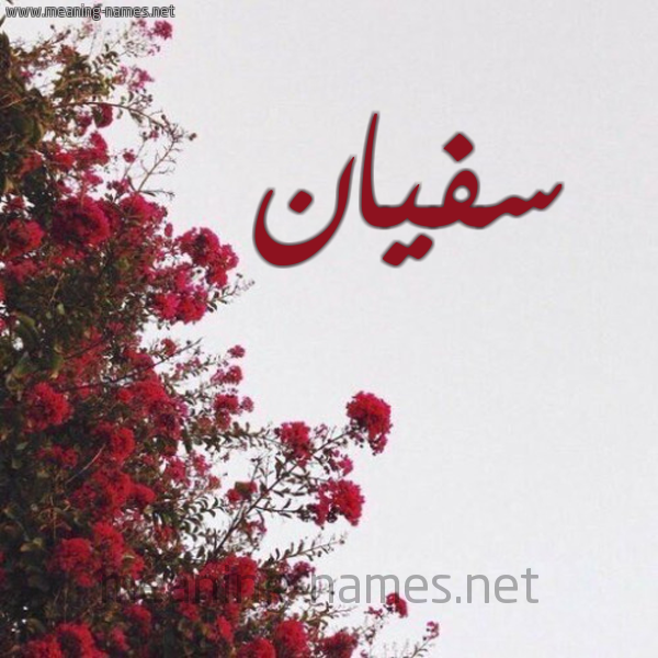 شكل 18 صوره الورد الأحمر للإسم بخط رقعة صورة اسم سفيان Sofian