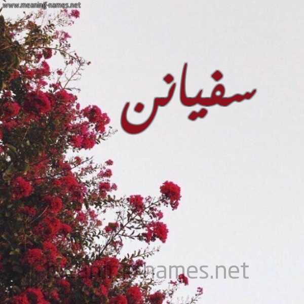 شكل 18 صوره الورد الأحمر للإسم بخط رقعة صورة اسم سفيانن Sufyan