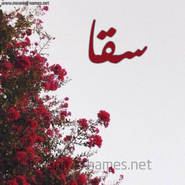 شكل 18 صوره الورد الأحمر للإسم بخط رقعة صورة اسم سقا Sqa