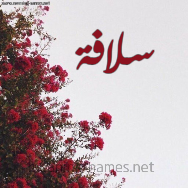 شكل 18 صوره الورد الأحمر للإسم بخط رقعة صورة اسم سلافة Solafa