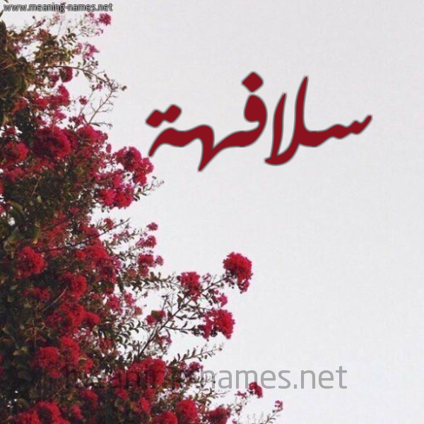 شكل 18 صوره الورد الأحمر للإسم بخط رقعة صورة اسم سلافهة Sulafah