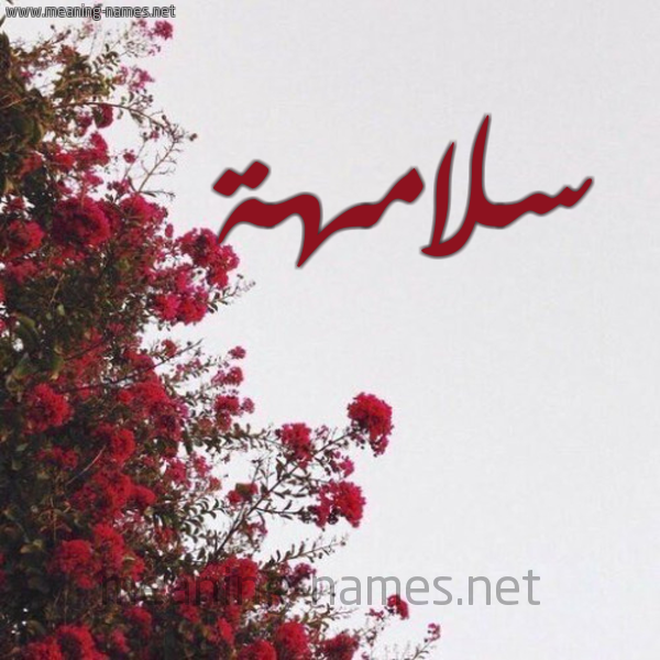 شكل 18 صوره الورد الأحمر للإسم بخط رقعة صورة اسم سلامهة Salamah