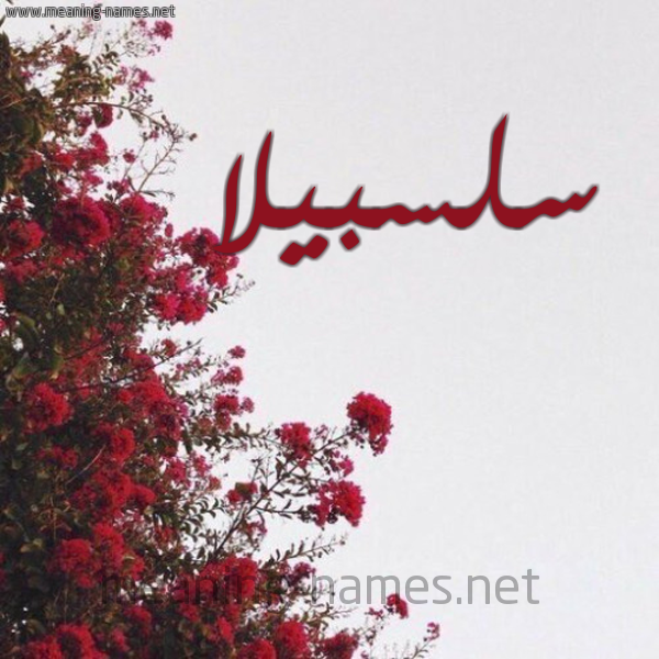 شكل 18 صوره الورد الأحمر للإسم بخط رقعة صورة اسم سلسبيلا Salsabila