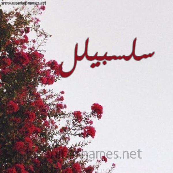 صورة اسم سلسبيلل Salsabil شكل 18 صوره الورد الأحمر للإسم بخط رقعة