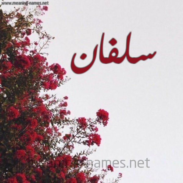 شكل 18 صوره الورد الأحمر للإسم بخط رقعة صورة اسم سلفان Salfan